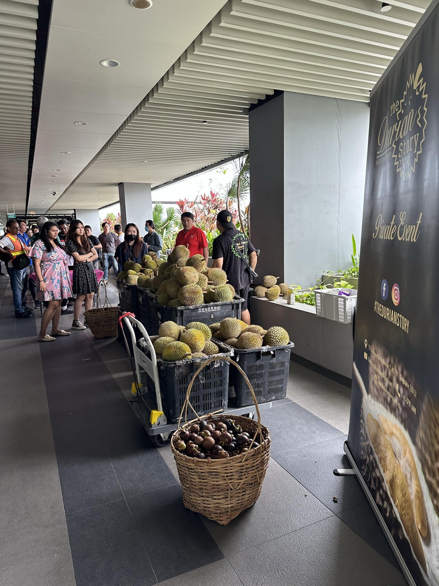 Corporate Durian Party at PSA Corporation Limited 